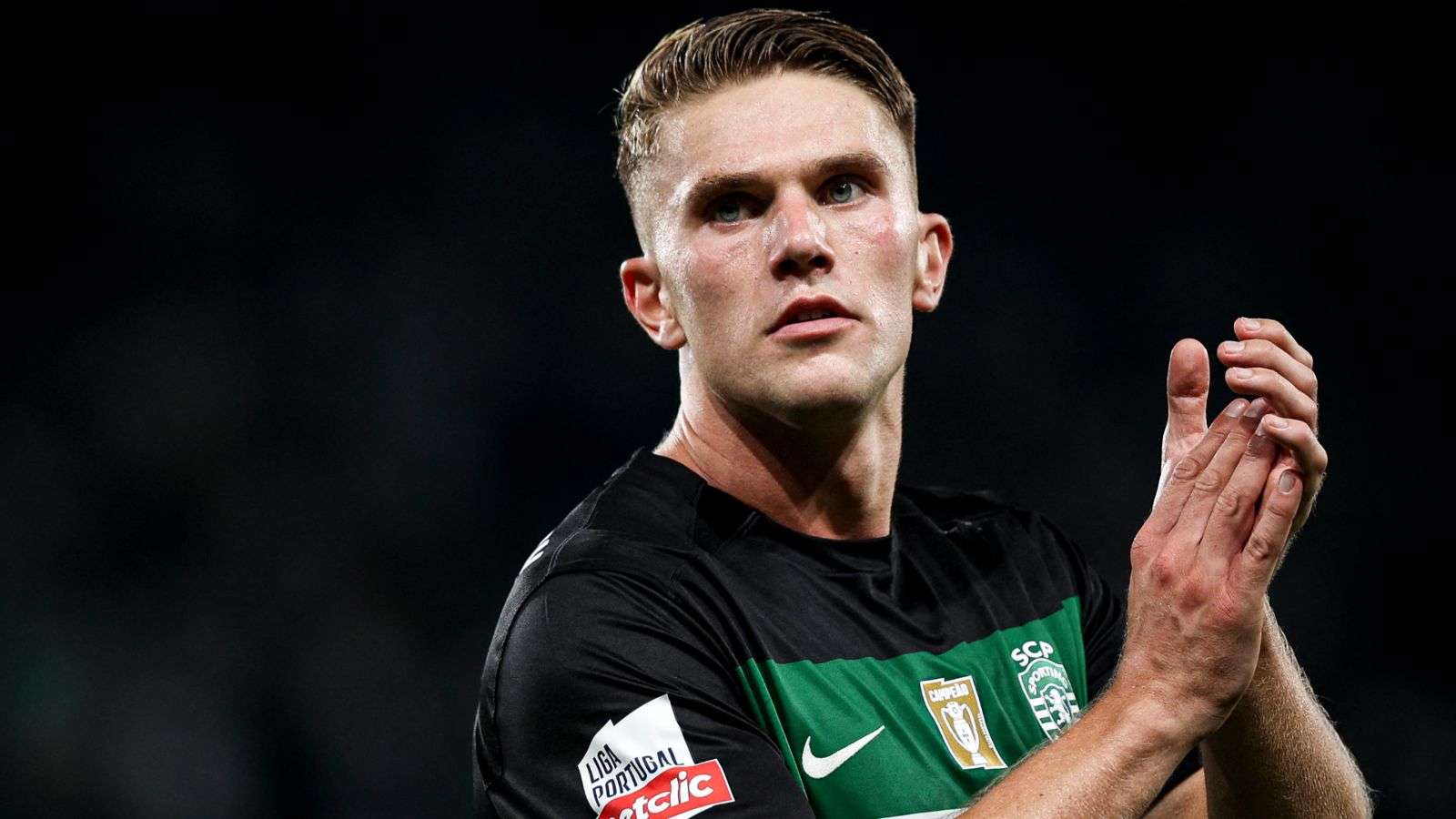 也融入了大 也融入了大